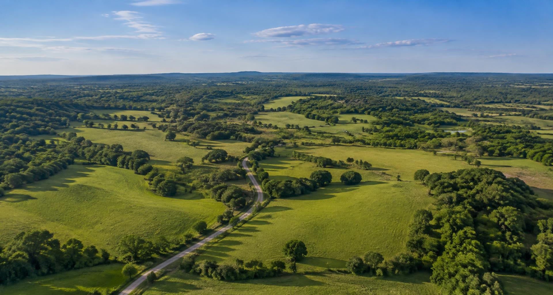 Aerial view of open green land and a winding country road